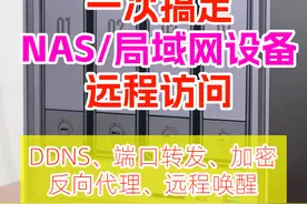 一次搞定DDNS、端口转发、反代、唤醒！Dcoker部署Lucky教程！图片