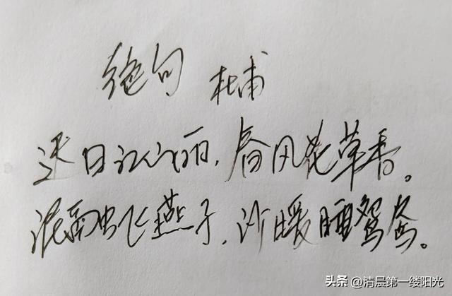 古诗词赏析：杜甫《绝句：迟日江山丽》