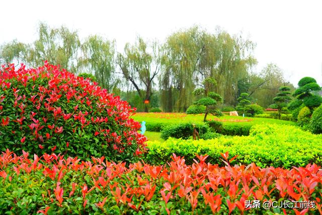 河南淮滨：淅淅沥沥秋雨染红博物馆