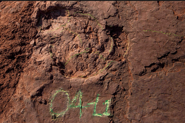 南美玻利维亚出行记