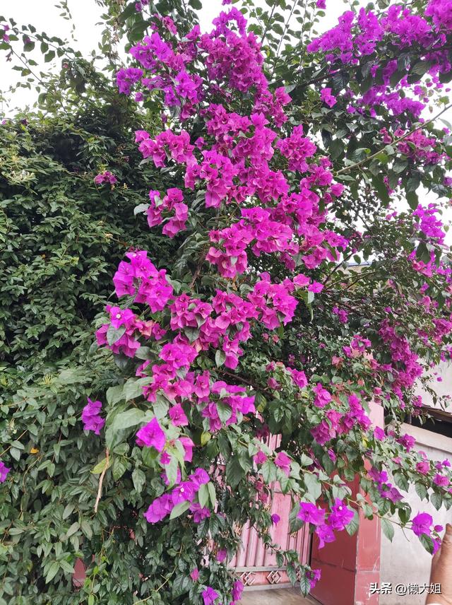 四十岁女硕士相亲十年全失败，没一人搭理彻底后悔