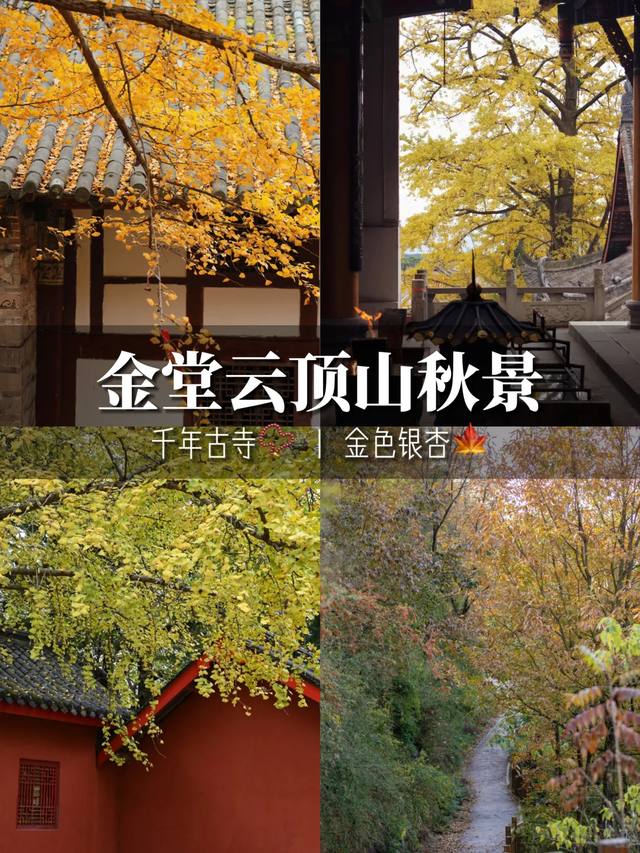 先收藏！成都周边8条捡秋亲子徒步路线，最近0.5h每条都超美！