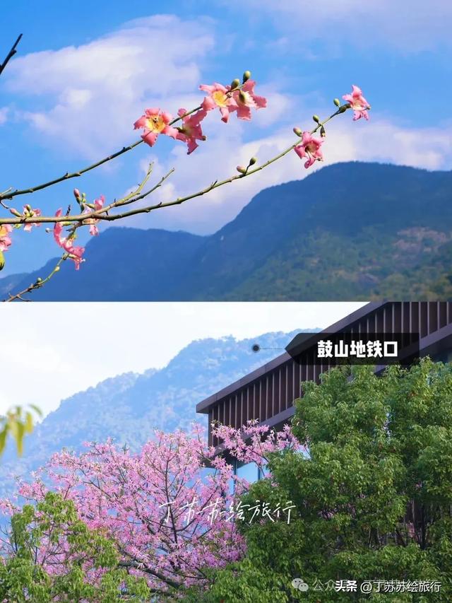 福州马拉松都下班了,爬鼓山还火到排队‼️福州鼓山登山路线攻略