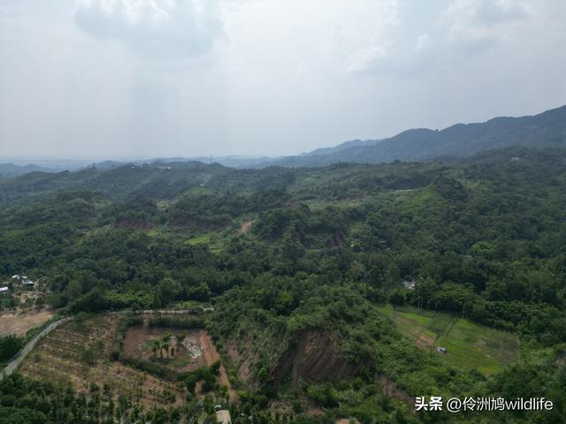 成都徒步（68）·彭州篇⑮佛山古寺&镇国寺宝塔