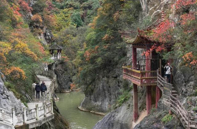 这才是秋天该有的样子~