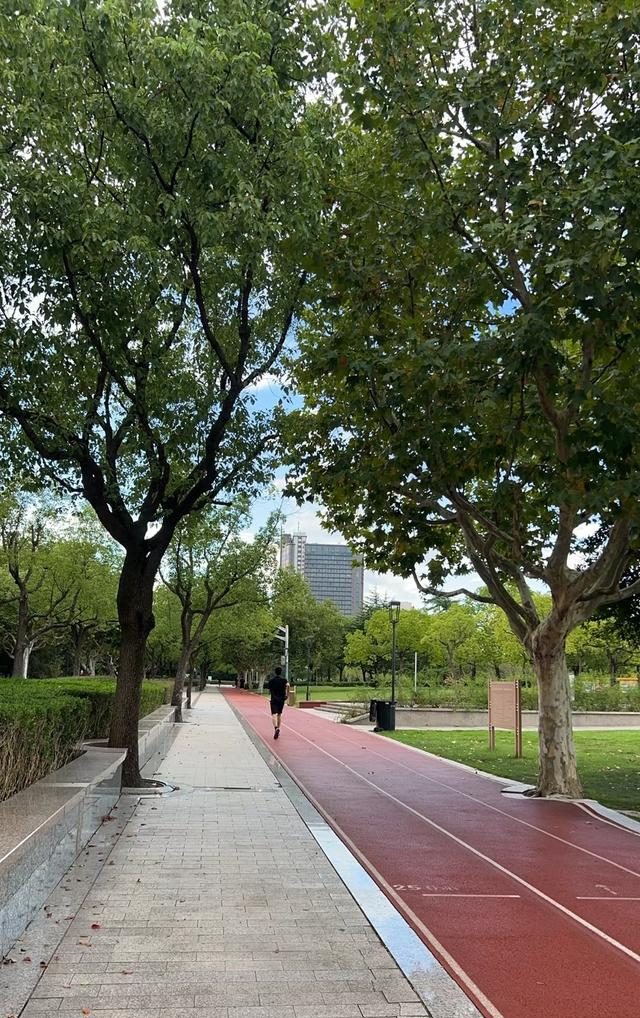 跑步不能改变一切，但到最后你会发现	，一切都改变了