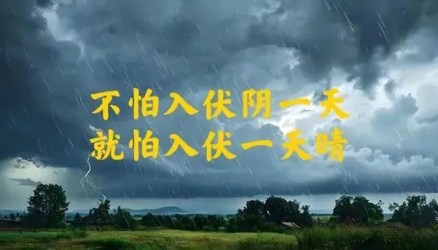 不怕入伏阴一天？？就怕入伏大晴天，老祖宗的天气预报准吗？