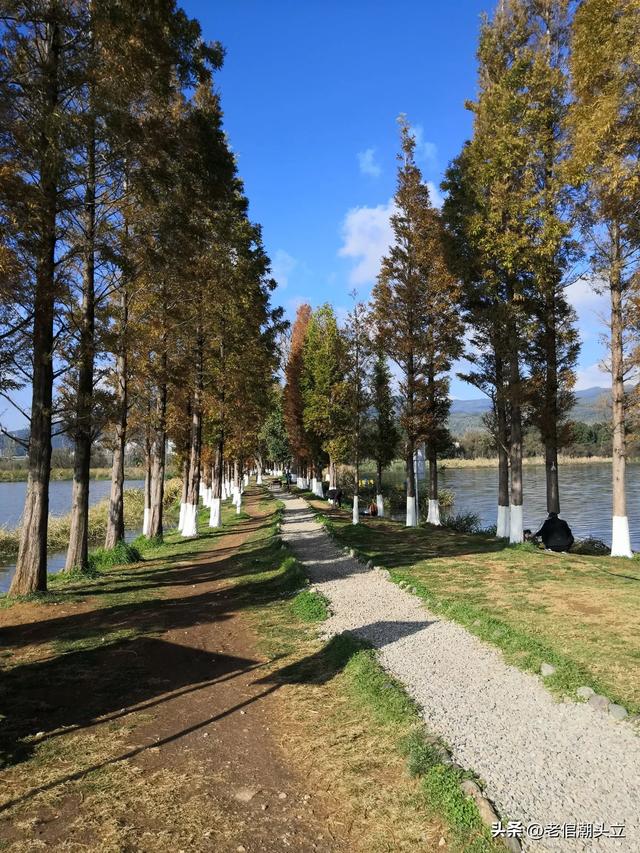 冬天的早上 晒着太阳从大观楼徒步到西山茶马花街 是什么样的感受？