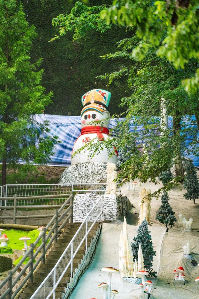 免票！成都吃饭2H直达21℃云端秘境，避暑耍真雪！观山水云海风光，赏神秘民俗风情！