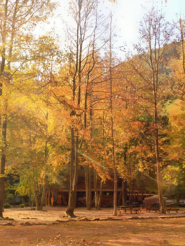 美如仙境！韶关这个地方迎来今年首场冰挂雾凇景观，秋冬来旅行，赏雪泡泉看红枫为你安排好了