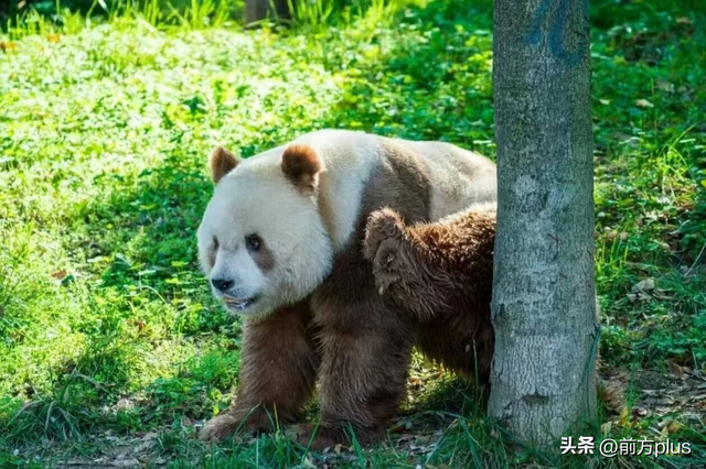 半价游西安！冬日景区福利上线
