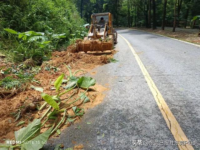 注意！东莞这个大型森林公园，明起恢复开放！