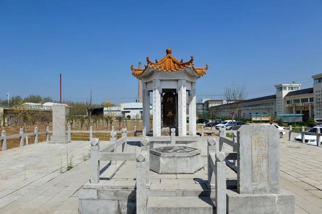 中医药、温泉、养生阿胶，济南的“康养密码”在这里！