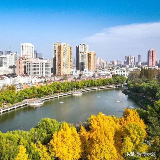 抓住这场金色盛宴！银杏“出片季”正式开启！