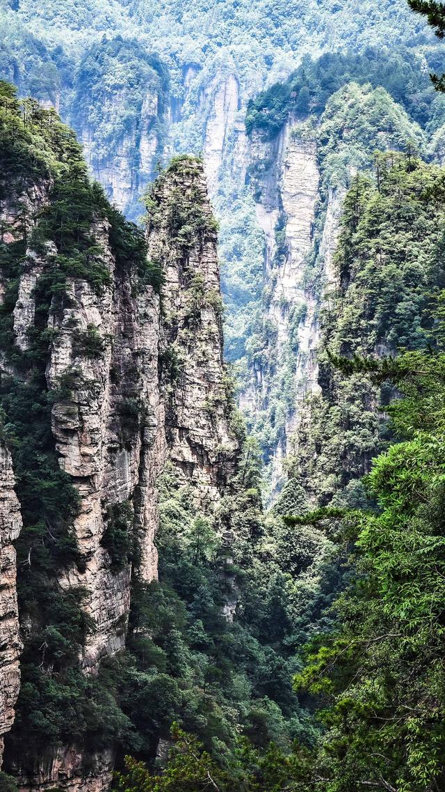 擎日峰月，溪织烟霞 我心中的张家界