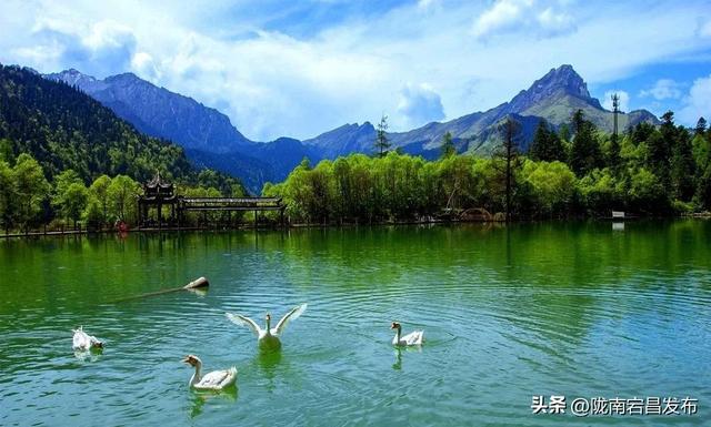云深不知暑：在官鹅沟与清风明月共栖