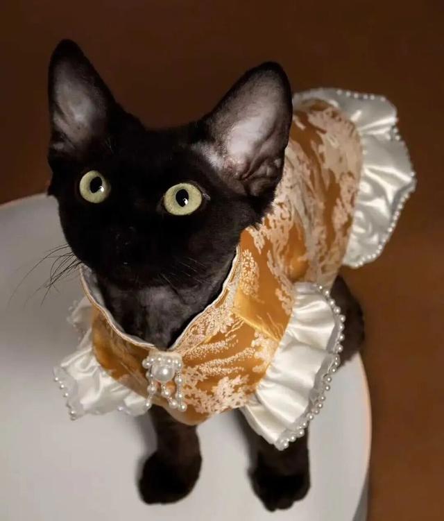 找到「下一个赚钱风口」的人