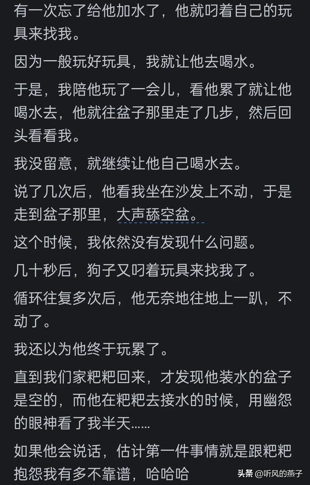 你是否有过把宠物逼的差点说话的时候？网友们的分享，惊呆了