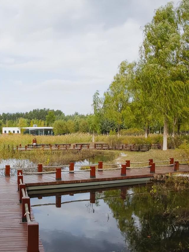 初秋→深秋，昌平这 7 条赏秋线路必冲！（二）