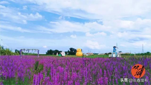 走进长春！150个网红打卡地之公主岭双青湖旅游度假风景区