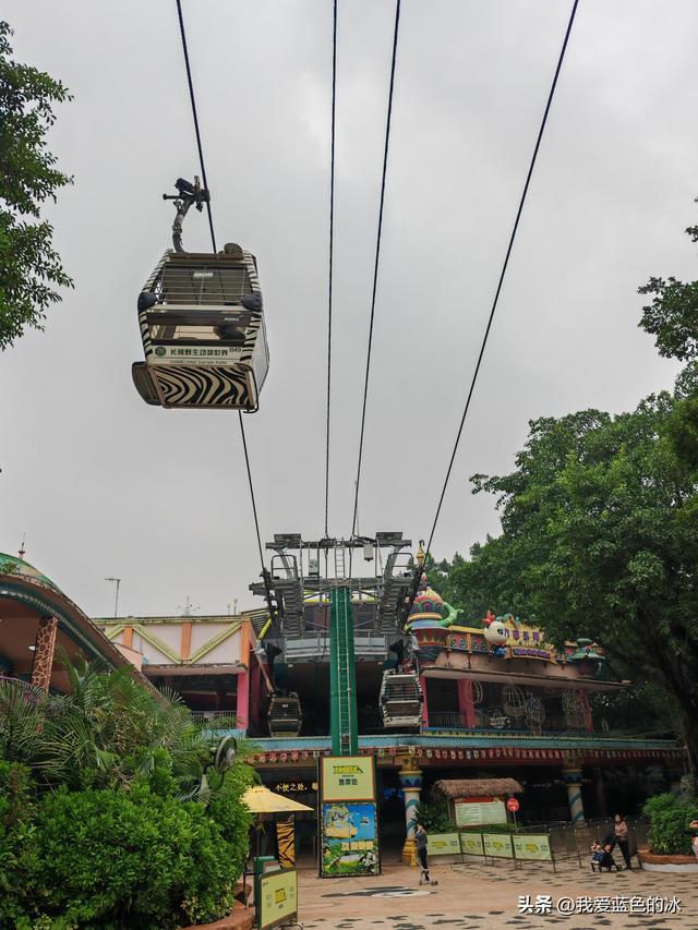 参观广州长隆野生动物园，全程感觉眼累手累腿不累