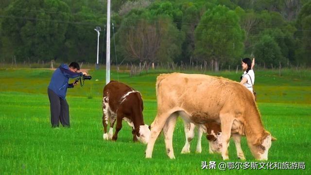 草原文化的魅力在这里延伸
