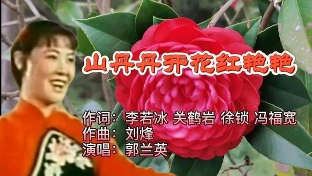 我为何要去陕北旅行？您认为我会写什么？为何写作？