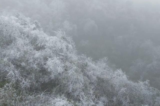 “云赏”怀集的冰雪世界