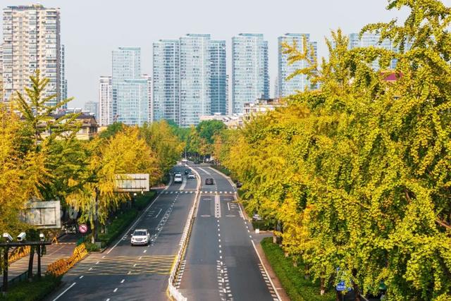 抓紧打卡！富阳人家门口的宝藏美景，错过要等明年！