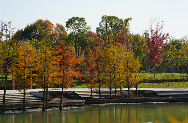 从百年古刹到水上森林：解锁上方山秋冬宝藏打卡地