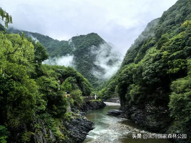 清风带凉意，最美是初秋，一键解锁黑河山水间的治愈美景！