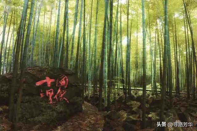 隐没在竹海深处，静享独处时光