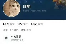 太不值得了！21岁的国服天才“胖猫”跳江，下辈子请好好爱好自己图片