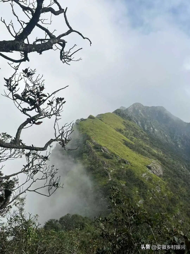 我在这个地球幸福的N个证据