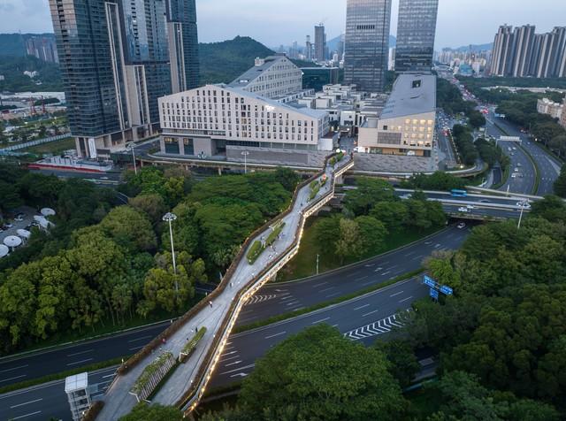 深圳有1320座公园，为何依旧人山人海？