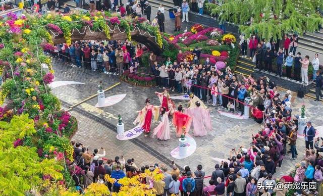 武汉菊花展60万盆花海，游客爆满，这场秋日浪漫让我心动不已