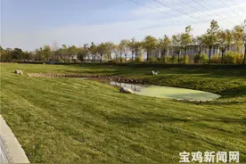 宝鸡市渭河生态公园即将焕新“登场”图片