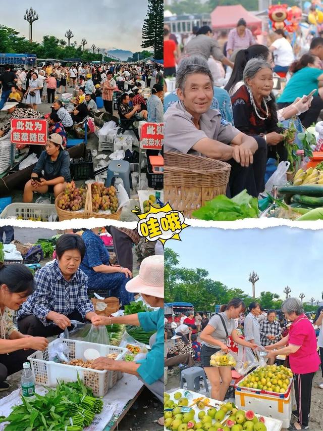 比西昌人少，比昆明更近！高铁直达20℃小众春城，赏花摘果泡温泉！3元草莓吃到撑~