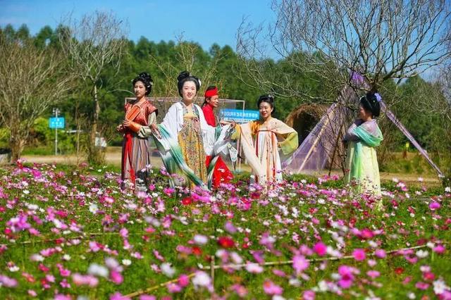 惠聚美好丨冬日惠州，繁花竞放