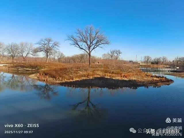 初冬北京玉河湿地公园游记｜申艳娟