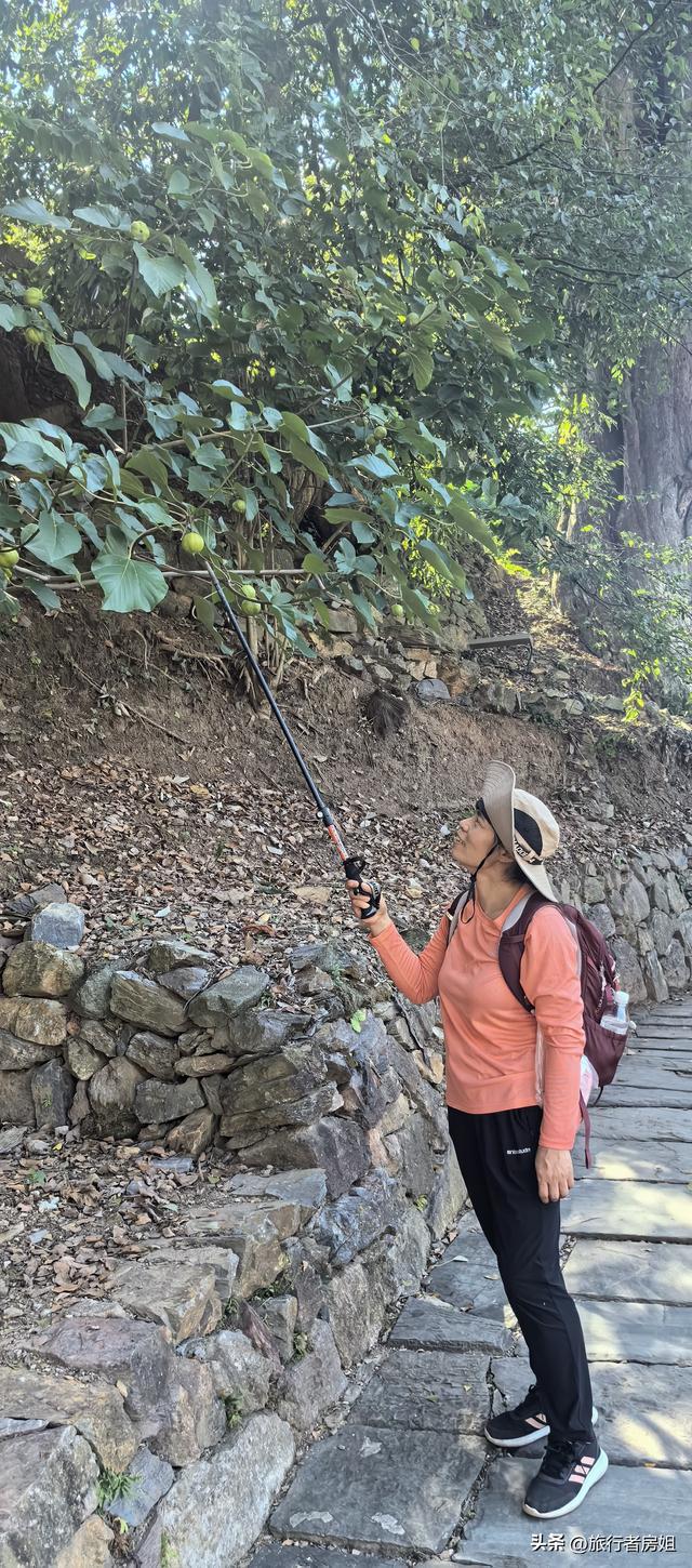 一条古道从浙江到安徽，全程经过三个古村落