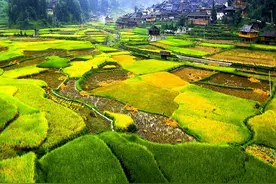 中国这六个省份，60岁以上老人，景区不收门票图片