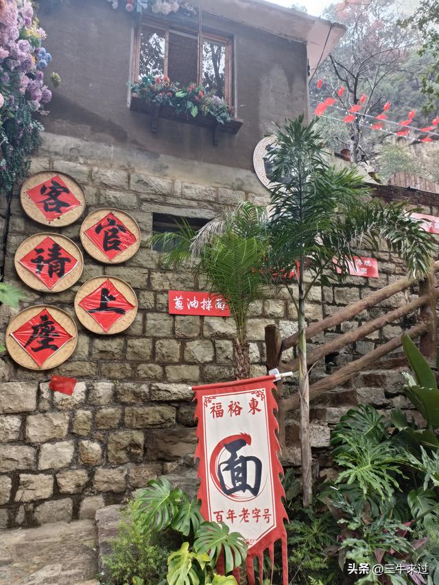 无为在歧路，柿岩之红叶