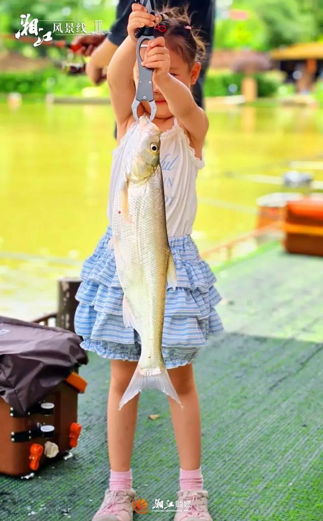 挖到长沙7个“野生宝藏地”！娃疯玩，我躺平！