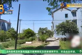 她家两辆车被“封印”，邻居提出了条件……图片