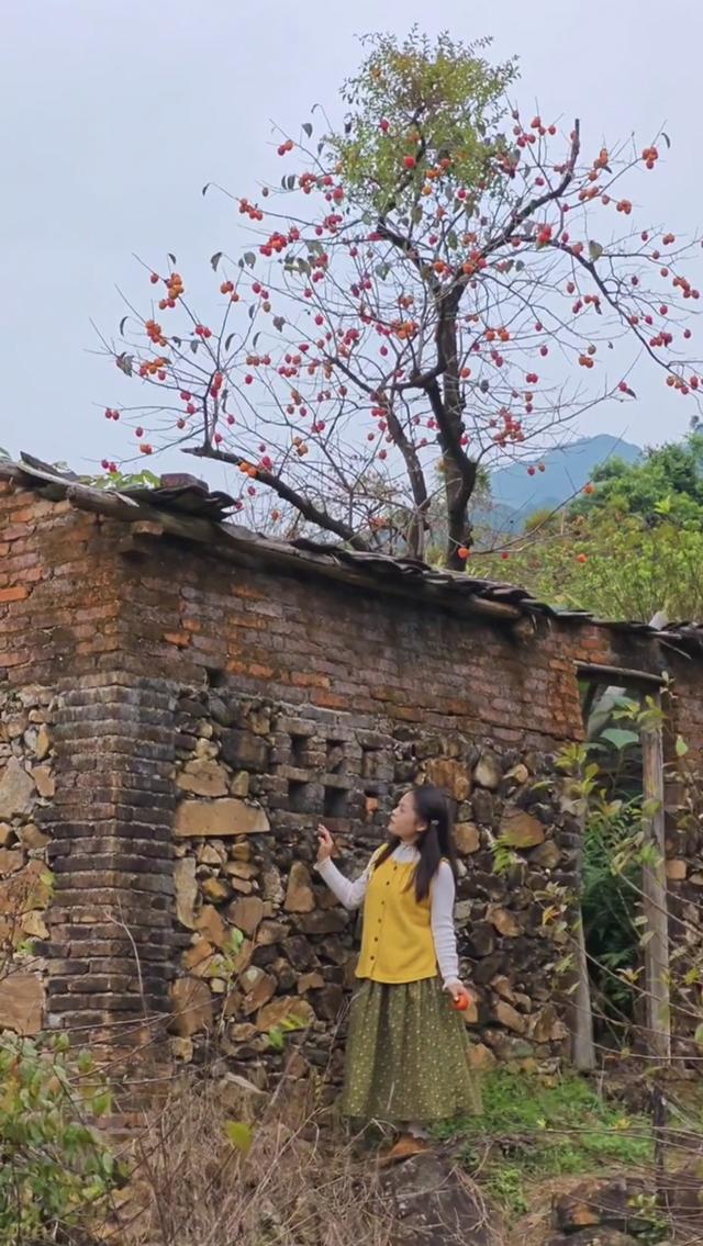 从化桂峰村赏秋，