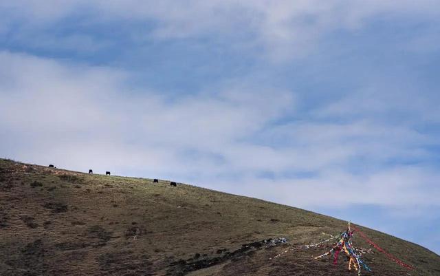 大量俄罗斯游客涌入四川成都，打着旅游的幌子，不看熊猫不吃火锅