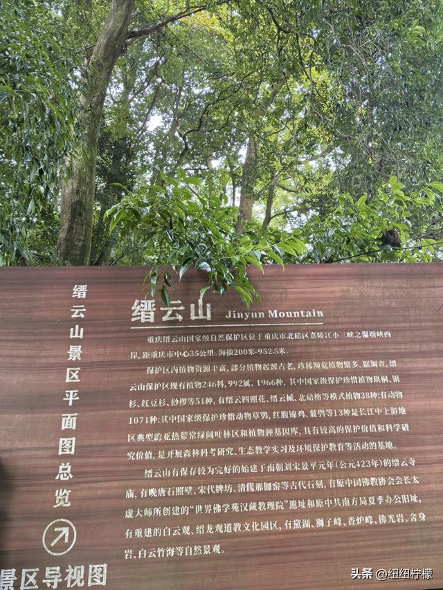 户外徒步之挑战缙云九峰，从健身梯道到狮子峰，走了四小时