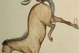 来猜猜成语吧图片