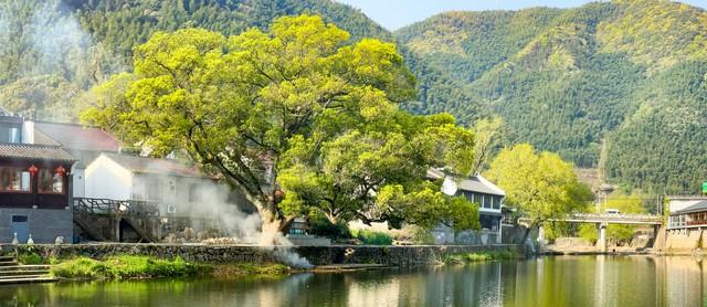 收藏!20首夏天唯美古诗词，附全文、解析与感悟
